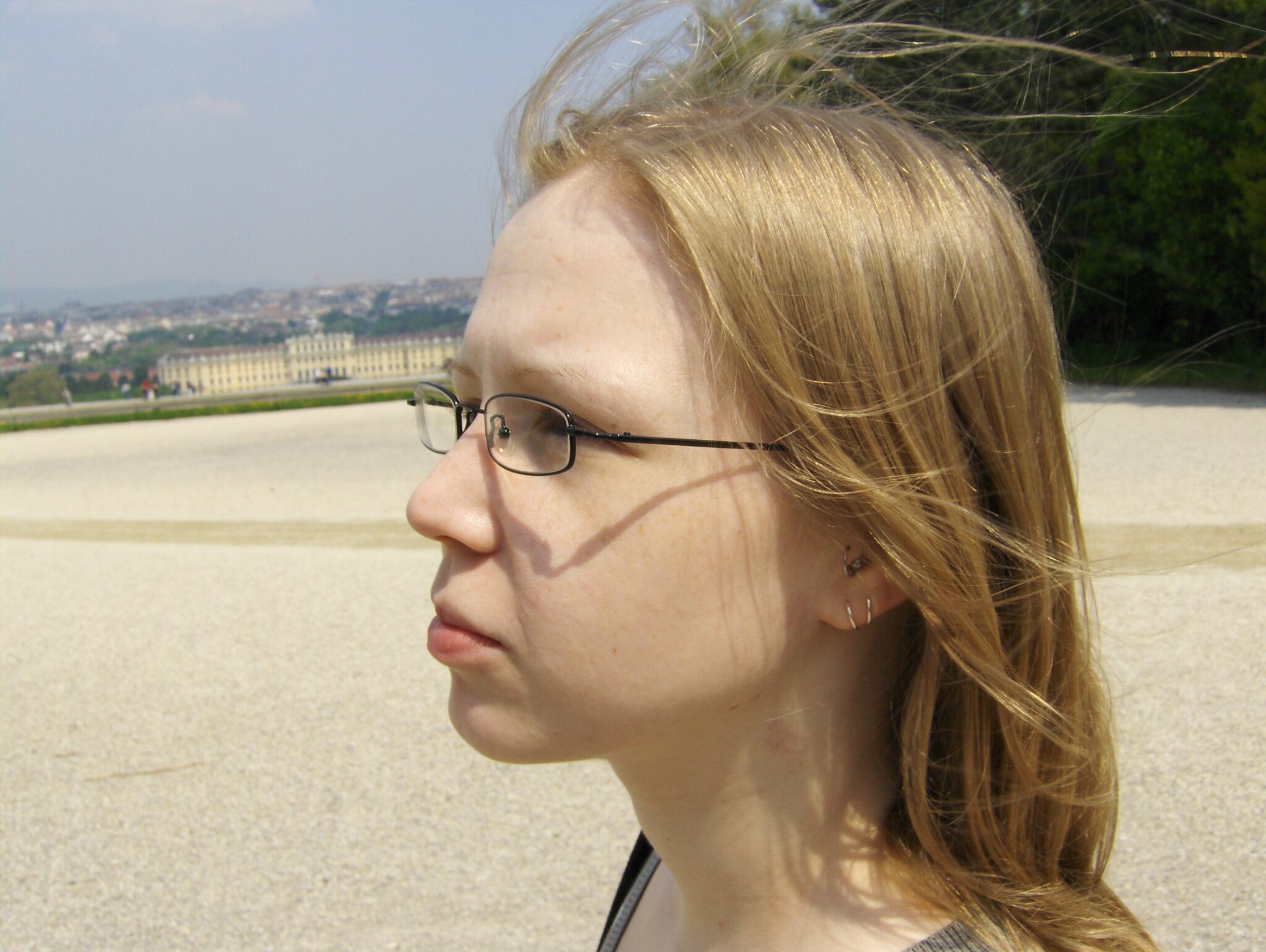 Ankunft in Schönbrunn Ankunft in Schönbrunn