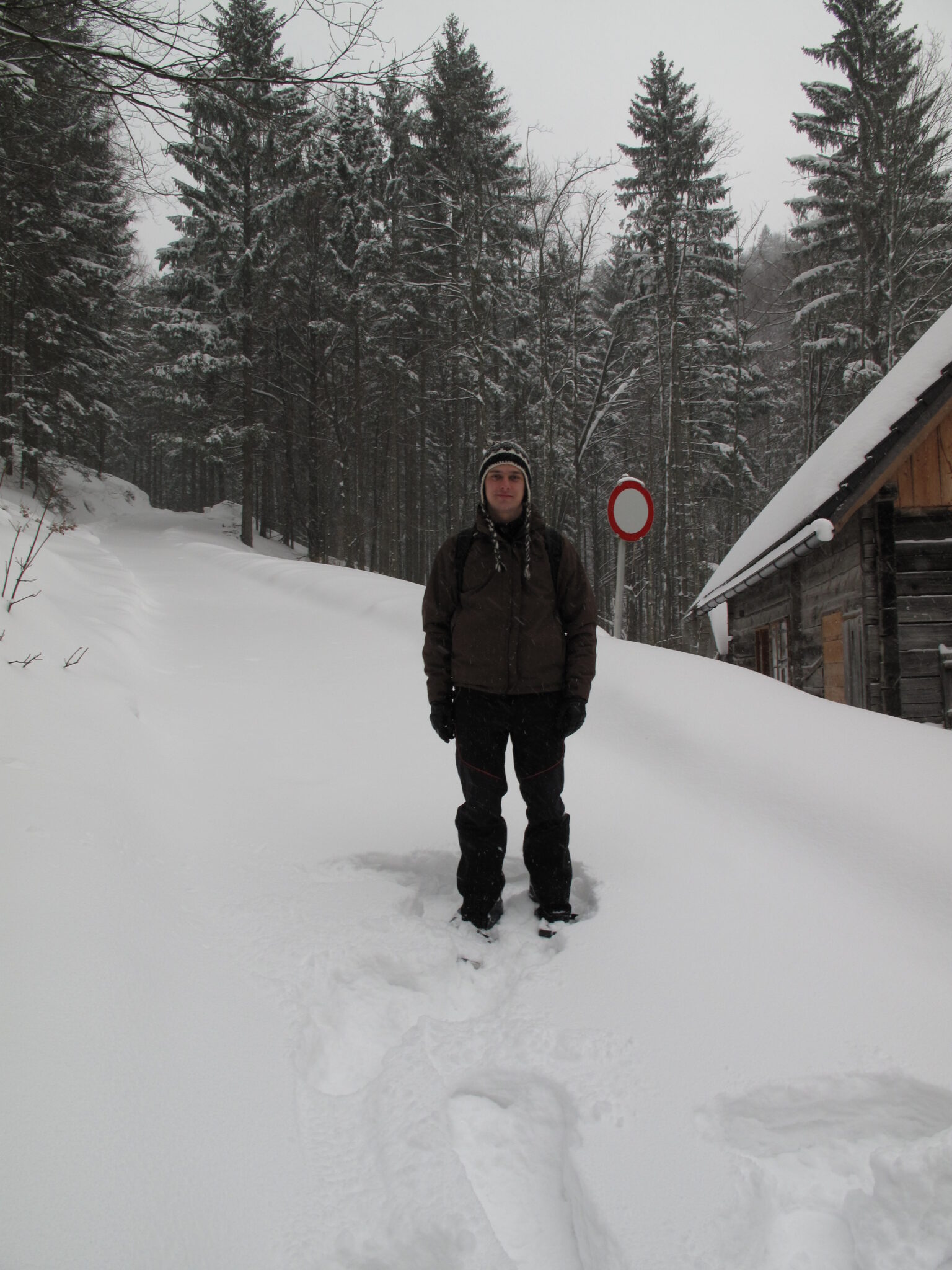 Allein im Schnee Allein im Schnee