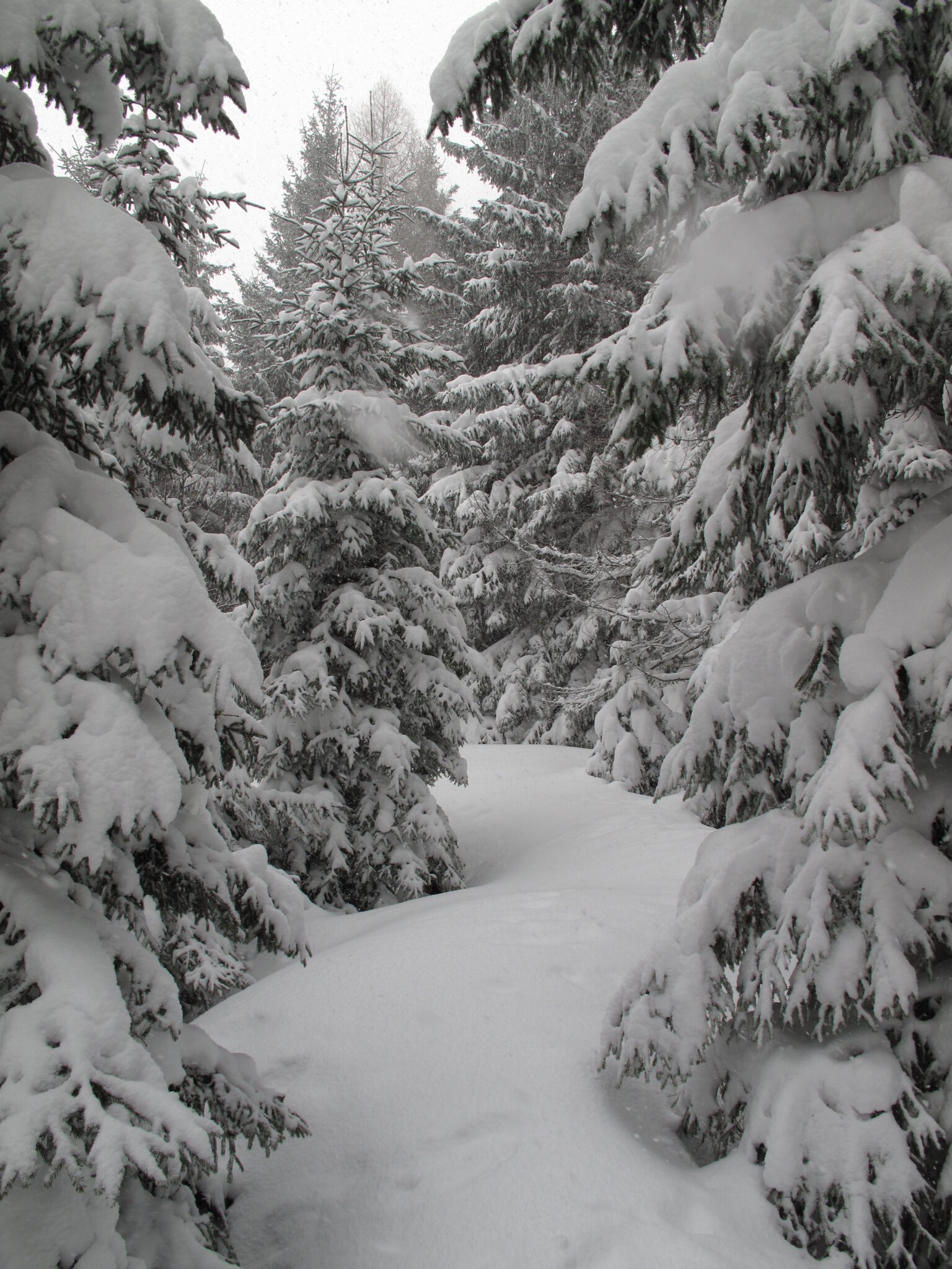 Ein Weg durch den Schnee Ein Weg durch den Schnee