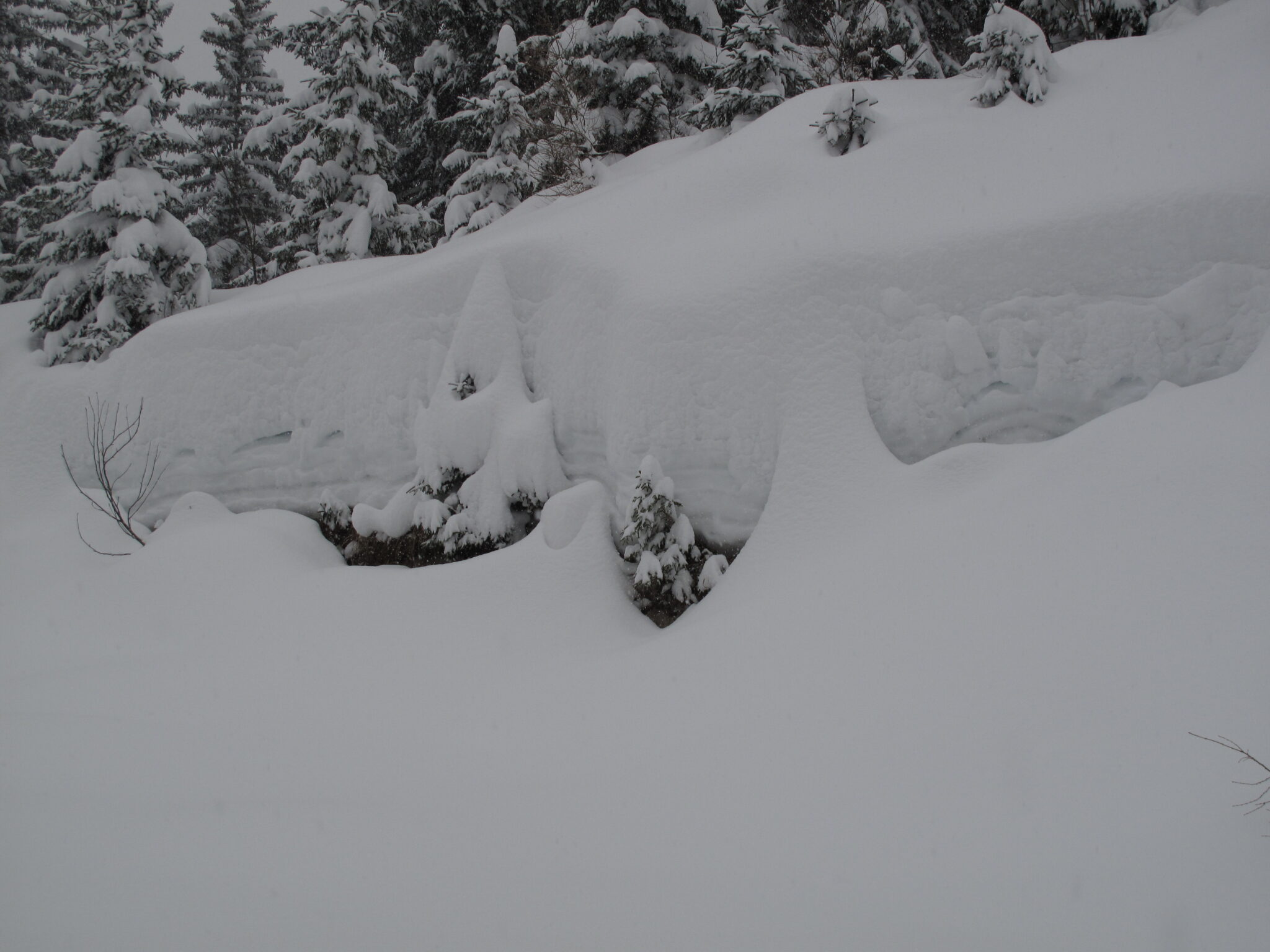 Meterhoher Schnee Meterhoher Schnee