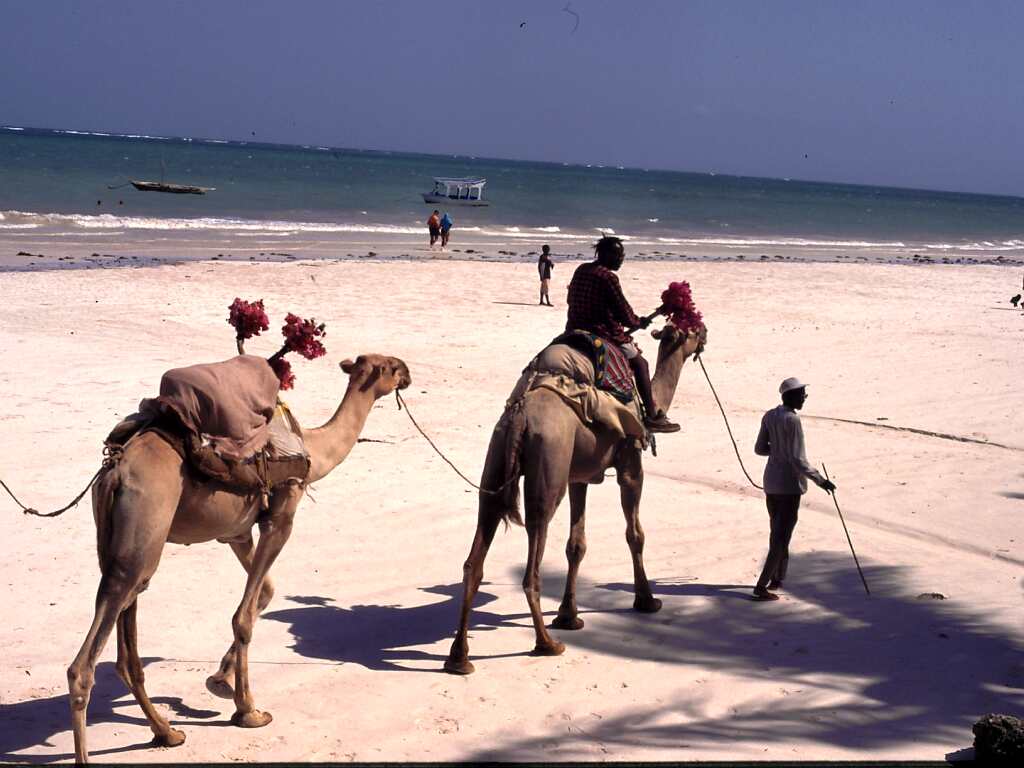 Galu Beach bei Diani Galu Beach bei Diani