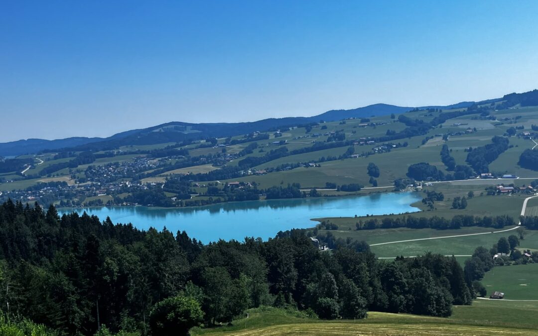 Kolomansberg, Juni 2026