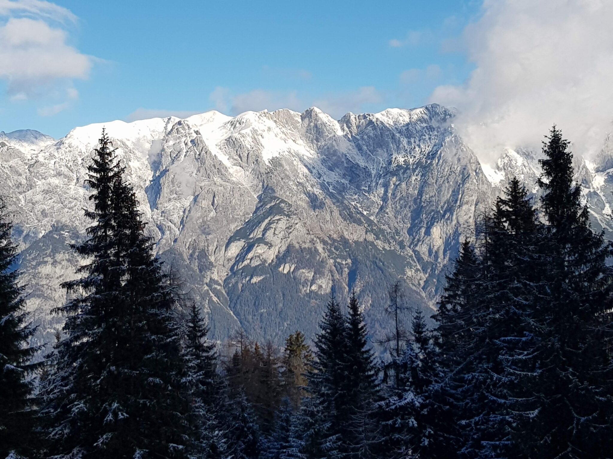 Verschneiter Wald Verschneiter Wald